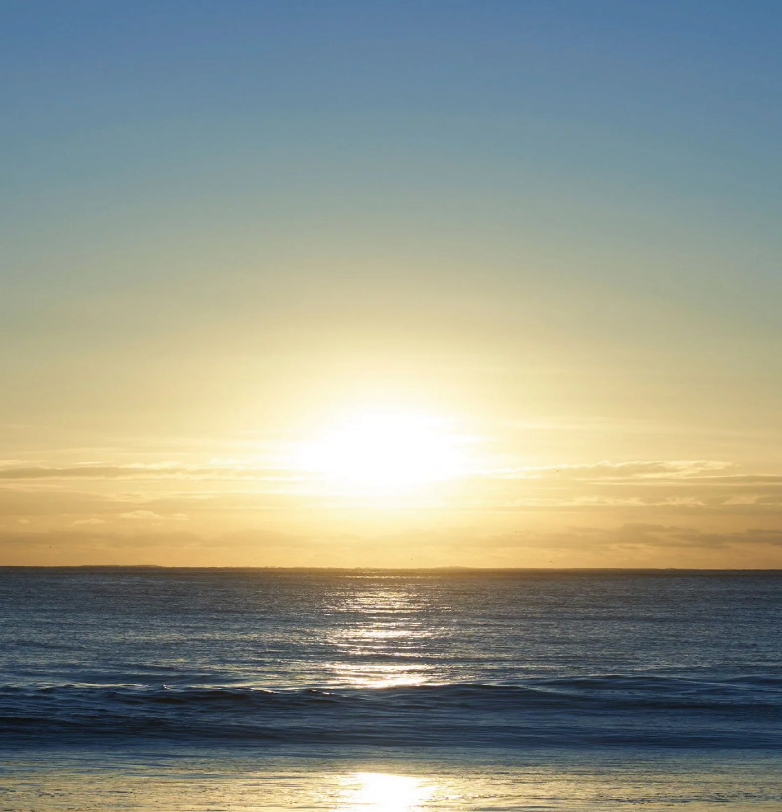 One_estepona_puestadesol.webp